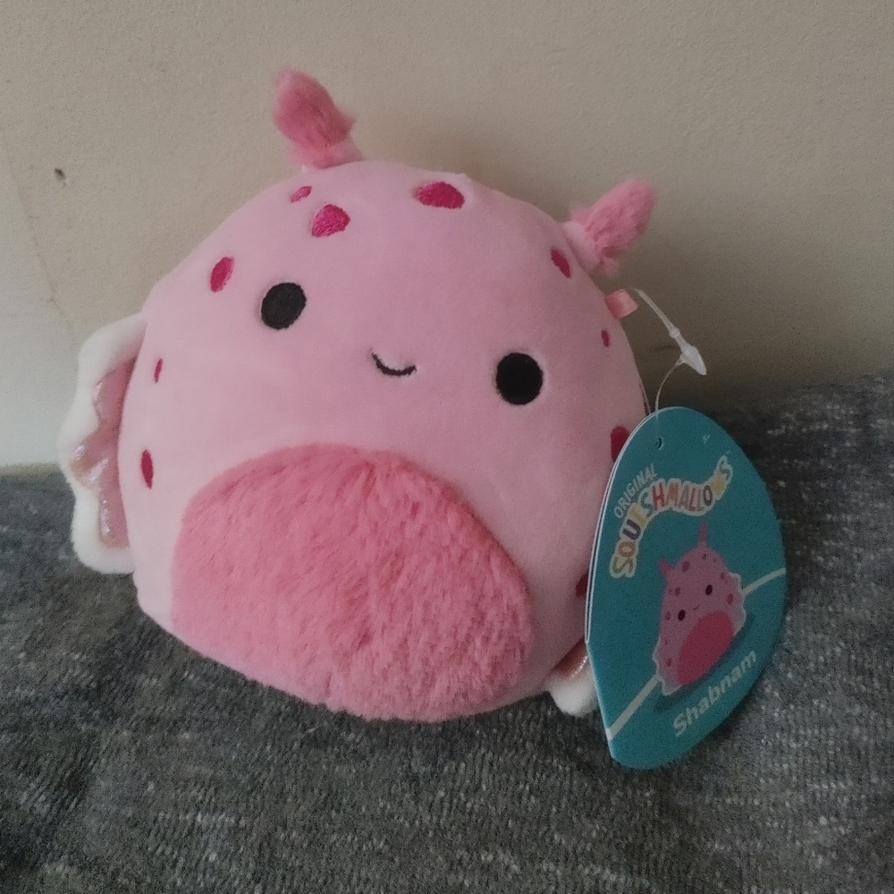 5" Squishmallow Shabnam The Sea Slug